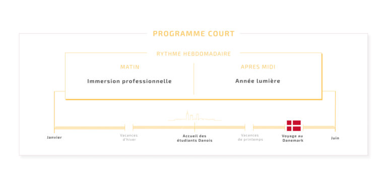 Frise programme court