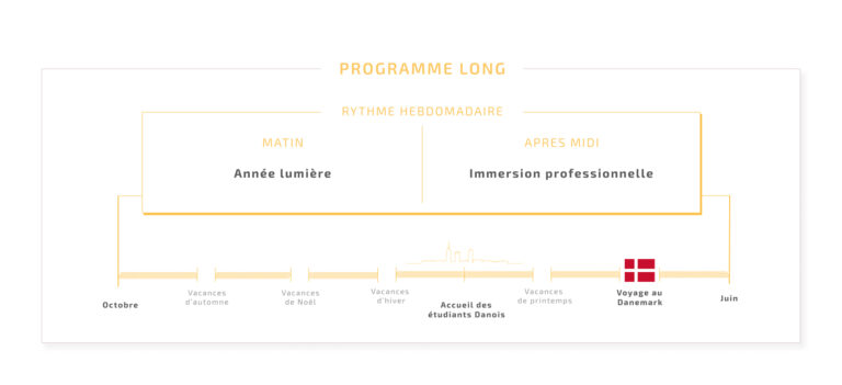 Frise programme long